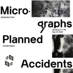 Micro-Graphs / Planned Accidents poster