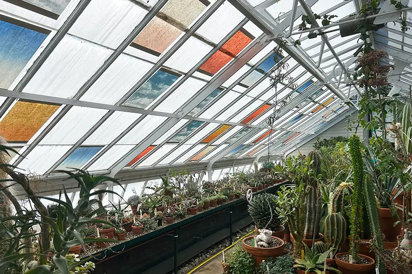 Jade Hoyer's installation of her artwork in the Mount Holyoke College greenhouse. 