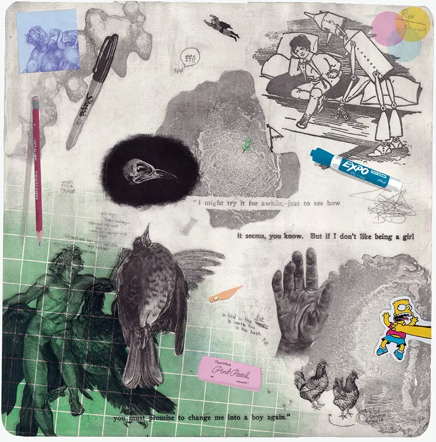 Image of a screenprint with various different bird and hand drawings on it.