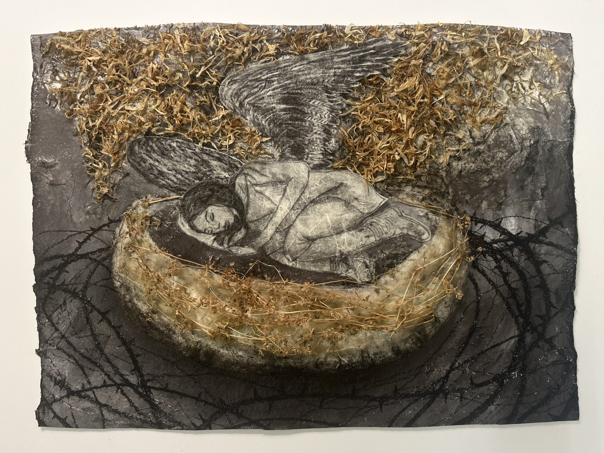 Sensitive Refuge, 2026, Collage on paper, 8 x 12 in.